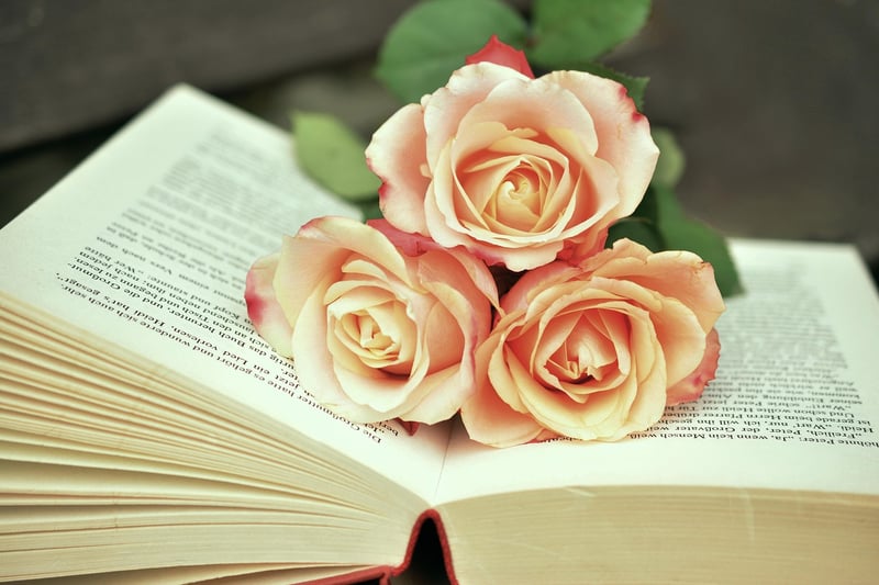 Wellness books